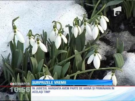 Surprizele vremii, temperatura creşte odată cu altitudinea!