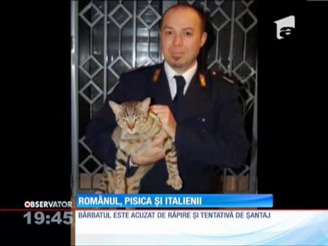 În goana după bani, un român din Italia a răpit o pisică!