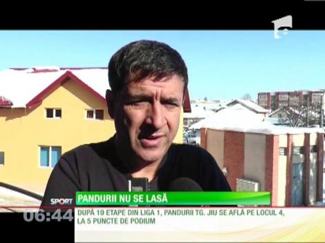 Pâîrvulescu vrea neapărat un loc european