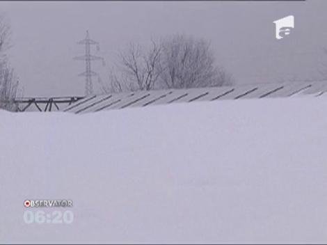 Sute de hectare de sere şi solarii au fost distruse de viscol