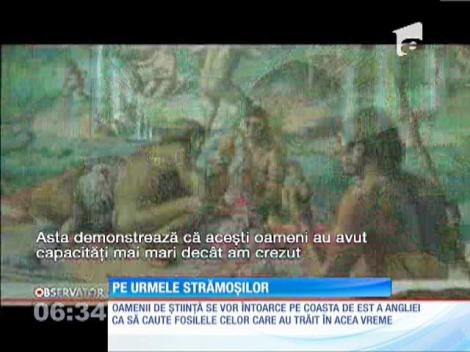 Au fost descoperite urme de paşi facute în urmă cu aproape un milion de ani