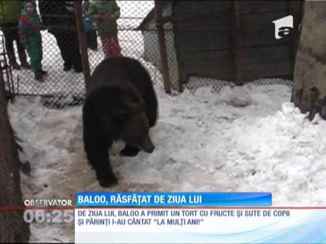 Ursul Baloo, serbat la baza pârtiei din Straja