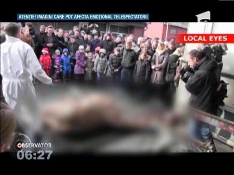 Scandal din cauza unei girafe la o gradina zoologică din Danemarca