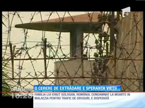 Familia lui Ionuţ Gologan, între disperare şi resemnare