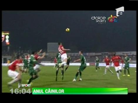 Ioan Andone: "Dinamo o va elimina pe Steaua din Cupă"