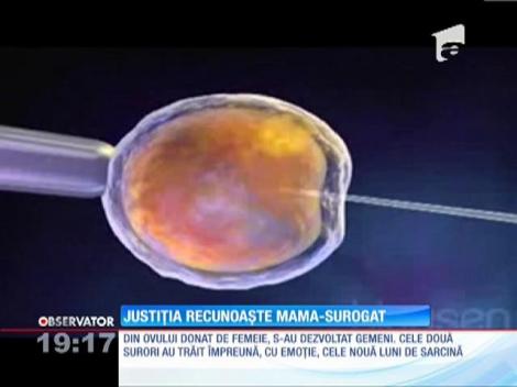 O femeie din Timiş a fost declarată în justiţie mama-surogat