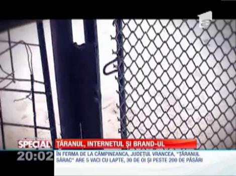 SPECIAL! Ţăranul, internet-ul şi brand-ul!
