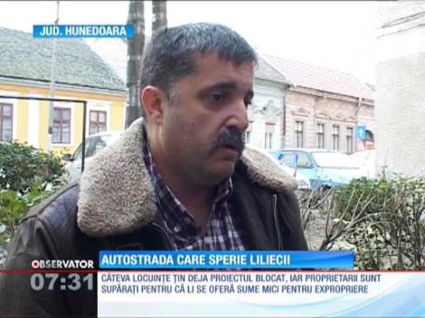 Autostrada care sperie liliecii