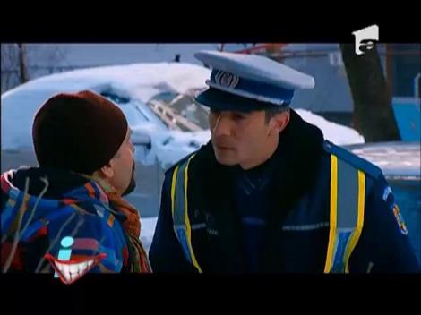 Au fost montate primele indicatoare rutiere pentru maidanezi