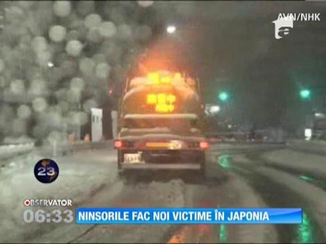 Zapada a provocat un adevarat dezastru in Japonia