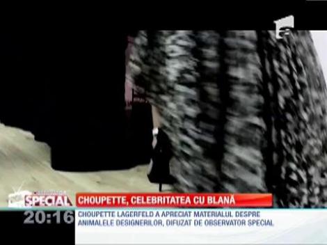 Choupette Lagerfeld, celebritatea cu blană