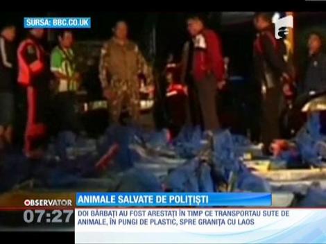 Sute de animale au fost salvate în ultima clipă de poliţiştii thailandezi!