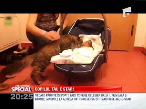 Special! Prima întâlnire dintre un bebeluş şi animalul din casă