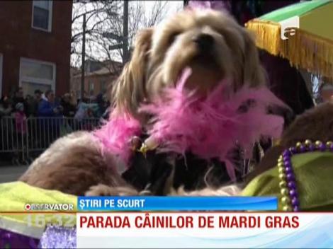 Parada câinilor de Mardi Gras