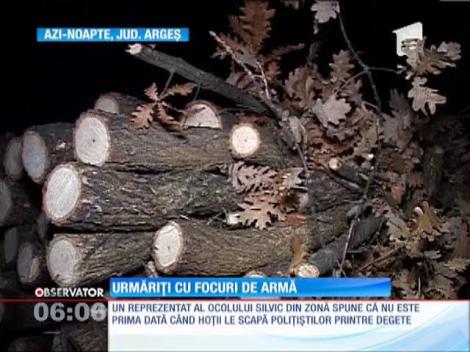 Hoţi de lemne, opriţi cu focuri de armă