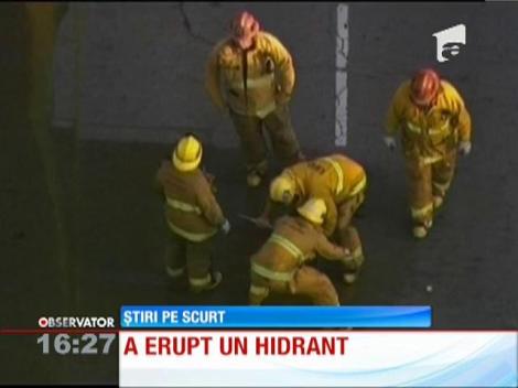 Hidrat transformat în gheizer