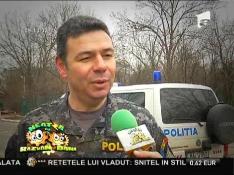 Câinii  folosiţi la detectarea materialelor pirotehnice