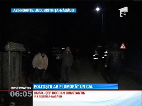 Membri unui echipaj de poliţie din Bistriţa-Năsăud sunt acuzaţi că ar fi provocat moartea unui cal