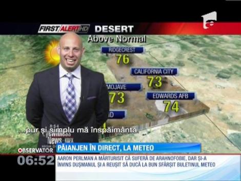 Un prezentator meteo se sperie de un paianjen