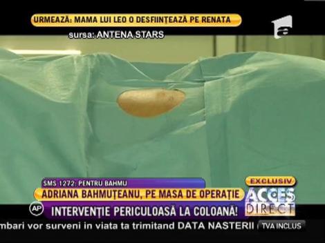 Adriana Bahmuţeanu: "Operaţia a costat în jur de 4.000 de lei"