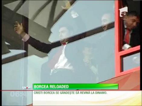 Spartanul Borcea se gânde şte să se întoarcă la Dinamo
