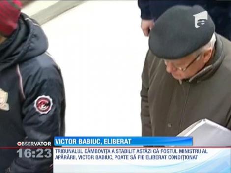 Victor Babiuc a fost eliberat condiţionat