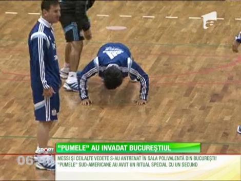 Vedetele Argentinei s-au pregătit în sală