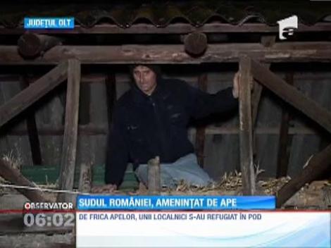 Sudul României, ameninţat de ape