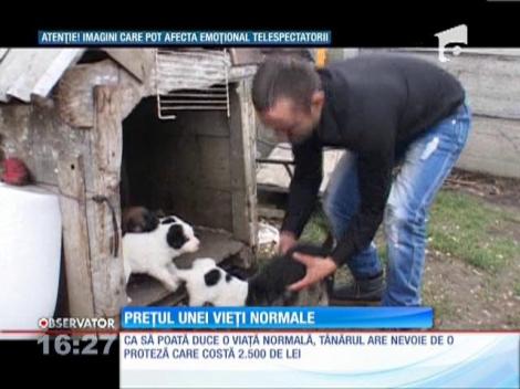 2.500 de lei, prețul unei vieți normale