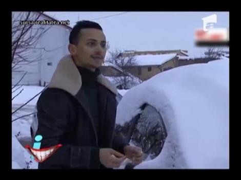 Mașinile, țina maidanezilor!