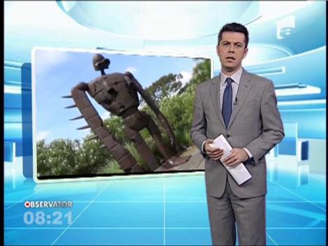 Vacanță în Japonia