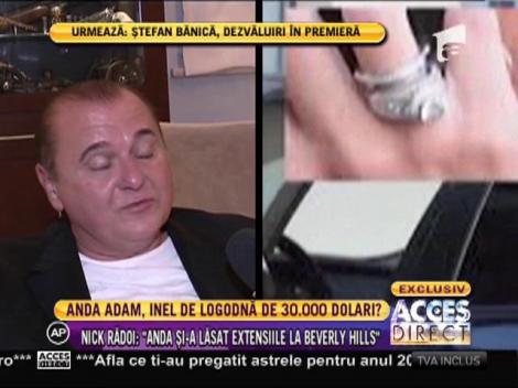 Anda Adam, la un pas să facă nunta cu miliardarul Nick Rădoi