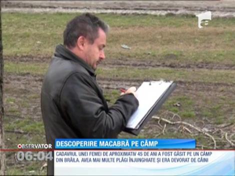 Cadavrul unei femei a fost găsit sfâşiat la marginea unei şosele din judeţul Brăila