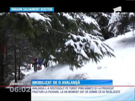 Un turist a fost îngropat de viu de o avalanşă puternică, în Munţii Bucegi