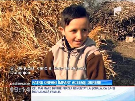 Într-un sat din Iaşi, patru copii orfani se gospodăresc singuri, ca nişte oameni mari!