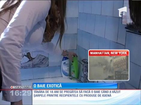 O tânără de 18 ani din Sibiu s-a trezit cu un şarpe în cadă