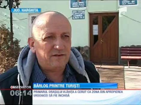 O ursoaică a născut doi pui în apropierea unui hotel din Harghita Băi