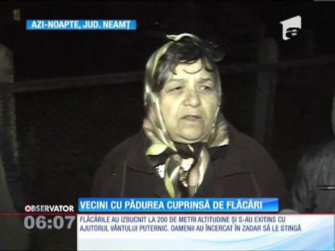 Zece hectare cu vegetaţie uscată şi arbori au ars lângă Bicaz