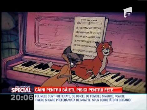 Special! Profilul iubitorilor de animale