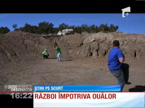 Afla aici în câte moduri poţi sparge un ou!