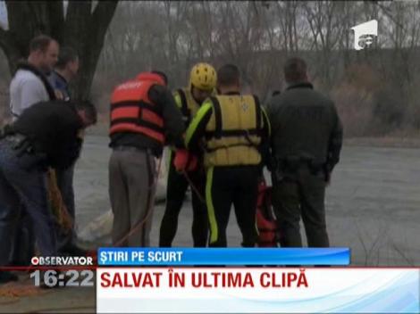 Salvat în ultima clipă