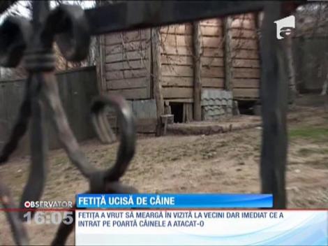 UPDATE / O fetiţă a fost ucisă de câinele vecinei