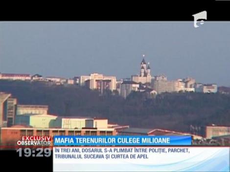 Mafia terenurilor din Şcheia