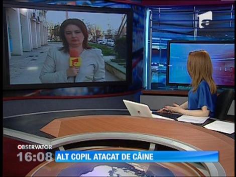 Fetiţă de 2 ani muşcată de faţă de un câine