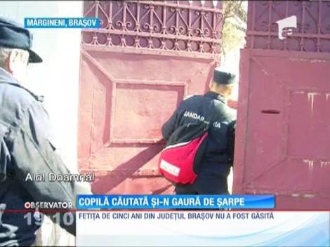 Fetiţa de 5 ani din judeţul Braşov, dispărută de 4 zile, este de negăsit