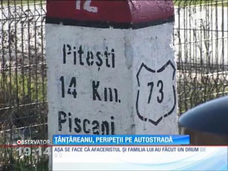 Plecată în excursie, familia Tânţăreanu a trăit o adevărată aventură pe drum!