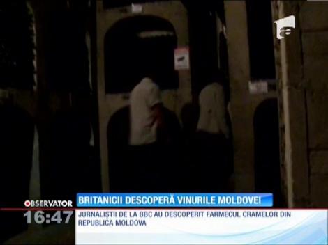 Cramele Cricova, mândria Republicii Moldovei, atrag tot mai mulţi turişti străini