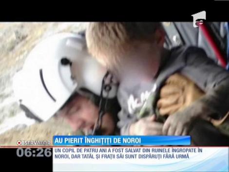 14 oameni au murit și peste 100 sunt dați dispăruti în urma uriașei alunecări de teren din Washington