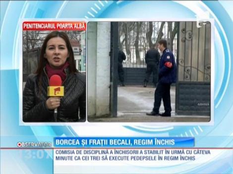 Borcea şi fraţii Becali, regim închis