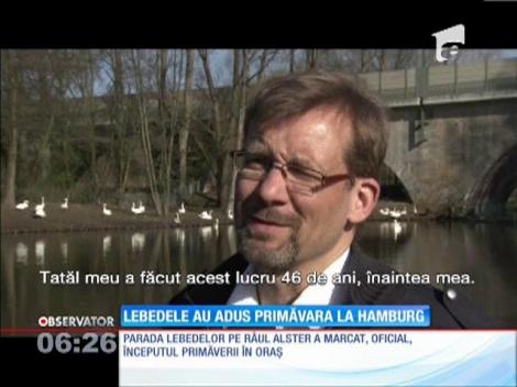 Parada lebedelor din Hamburg